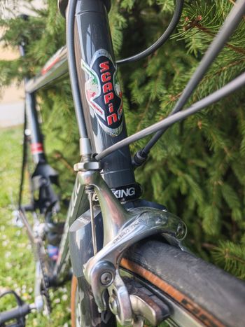 Used SCAPIN Eos7 2002 Road & Gravel — image 17 of 40