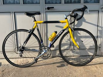Used Grandis Grandis Custom Campagnolo Veloce 2013 Road & Gravel
