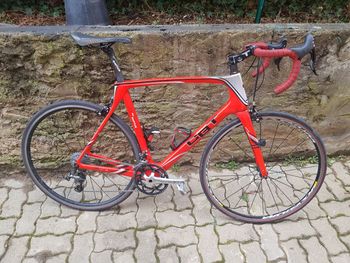 CBT Italia, Raptus