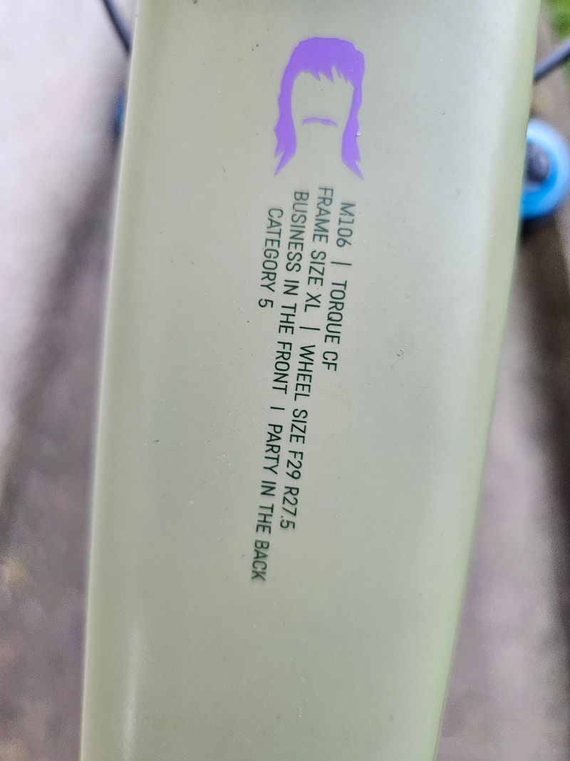 Used Canyon Torque 29 CF 8 2024 2024 Mountainbike, Green, 29 — image 2 of 8