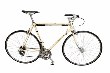 Motobecane, Motobecane Custom Other