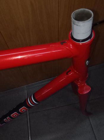 Used ludo Competition Frameset 1974 Road & Gravel, Rot — image 2 of 3