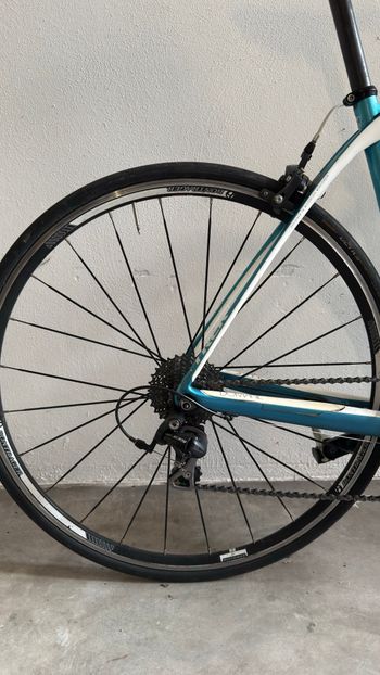 Used Trek Trek Domane Four Series 2016 Road & Gravel, Blue — image 3 of 4