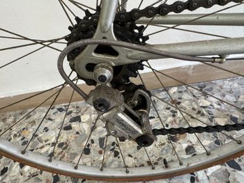 Used Bianchi Rekord Campagnolo Record 1982 Road & Gravel, Light Gray — image 3 of 8