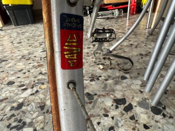 Used Bianchi Rekord Campagnolo Record 1982 Road & Gravel, Light Gray — image 5 of 8