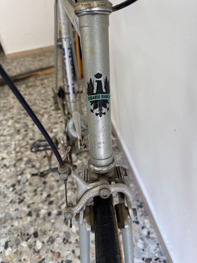 Used Bianchi Rekord Campagnolo Record 1982 Road & Gravel, Light Gray — image 7 of 8