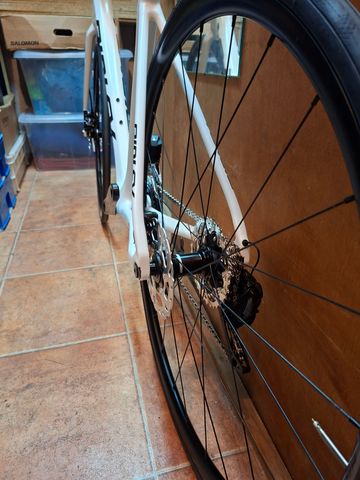 Used Ridley Fenix Shimano 105 Di2 2025 Road & Gravel, White — image 8 of 10
