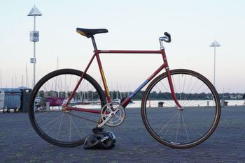 Würtele Radsport, Würtele Radsport Custom Other Campagnolo