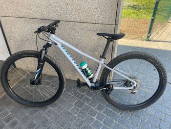 Specialized, Pitch 27.5 2020