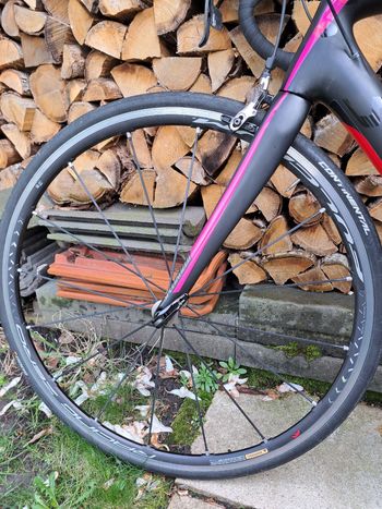 Used Specialized Amira SRAM Red 2015 Road & Gravel, Schwarz — image 13 of 14