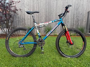 Rocky Mountain, Element T.o. Team Only 2019