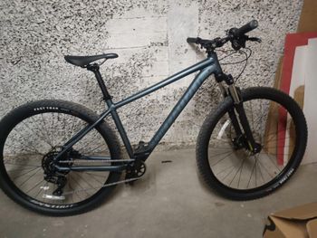 Specialized, Rockhopper Comp 29 2022