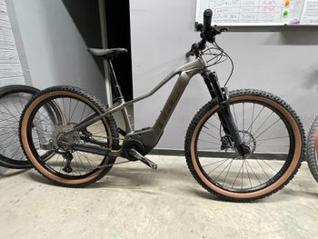Trek, Marlin+ 8 2024