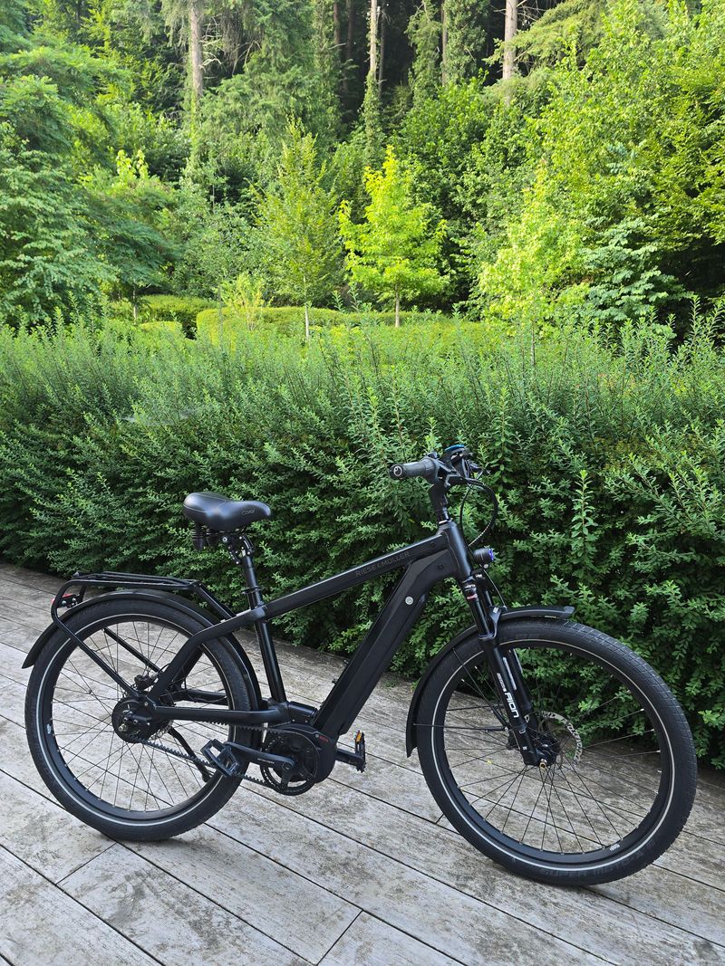 Used Riese & Müller Riese And Muller Charger 2 GT Silent 2020 Urban & Touring