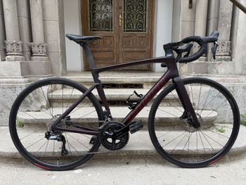 Used Specialized Specialized Tarmac SL7 Comp 105 Di2 2024 Road & Gravel