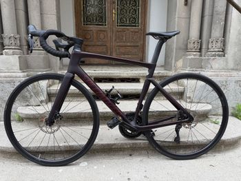 Used Specialized Specialized Tarmac SL7 Comp 105 Di2 2024 Road & Gravel, Black — image 2 of 16