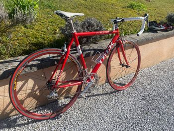 Used Trek Trek Alpha SL 2300 2005 Road & Gravel, Red — image 2 of 3