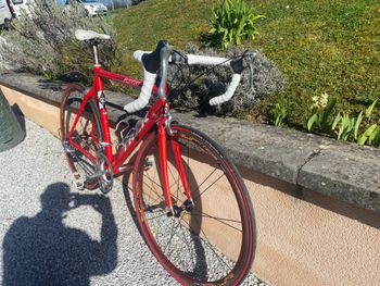 Used Trek Trek Alpha SL 2300 2005 Road & Gravel, Red — image 3 of 3