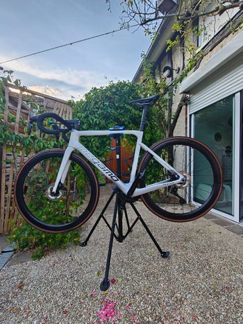 Megamo, PULSE ELITE 15 SH12 2023