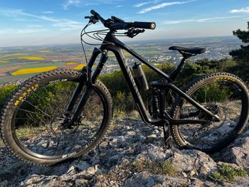 Canyon, Strive CF 6.0 2019