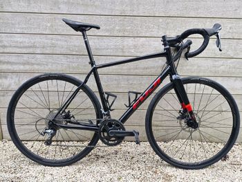 Fuji, Sportif 1.3 Disc 2024