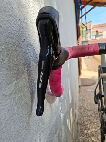 Trek, Domane SL 6 2021