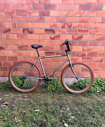Raymond Poulidor, Raymond Poulidor Custom