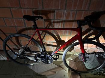 Trek, Émonda ALR 5 2026