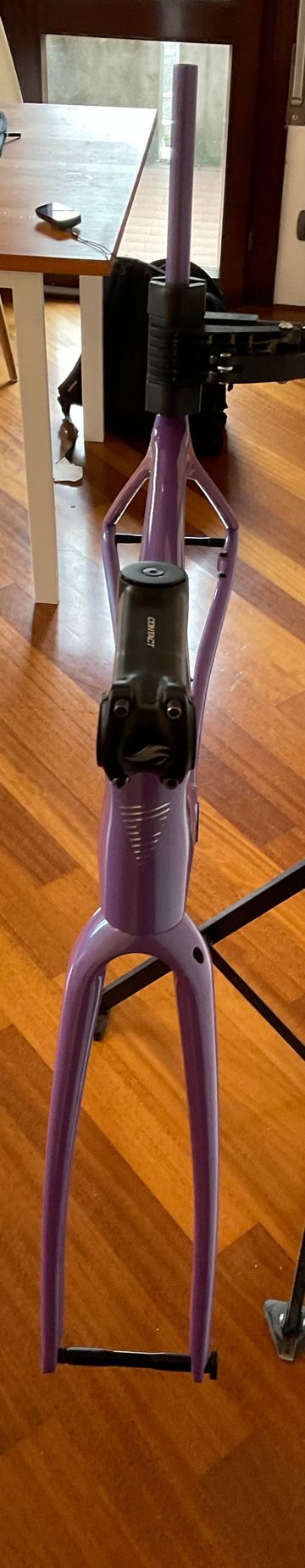 Gebrauchtes Giant Advanced SL 2024 Frameset 2024 Road & Gravel, Violett — Bild 5 von 38
