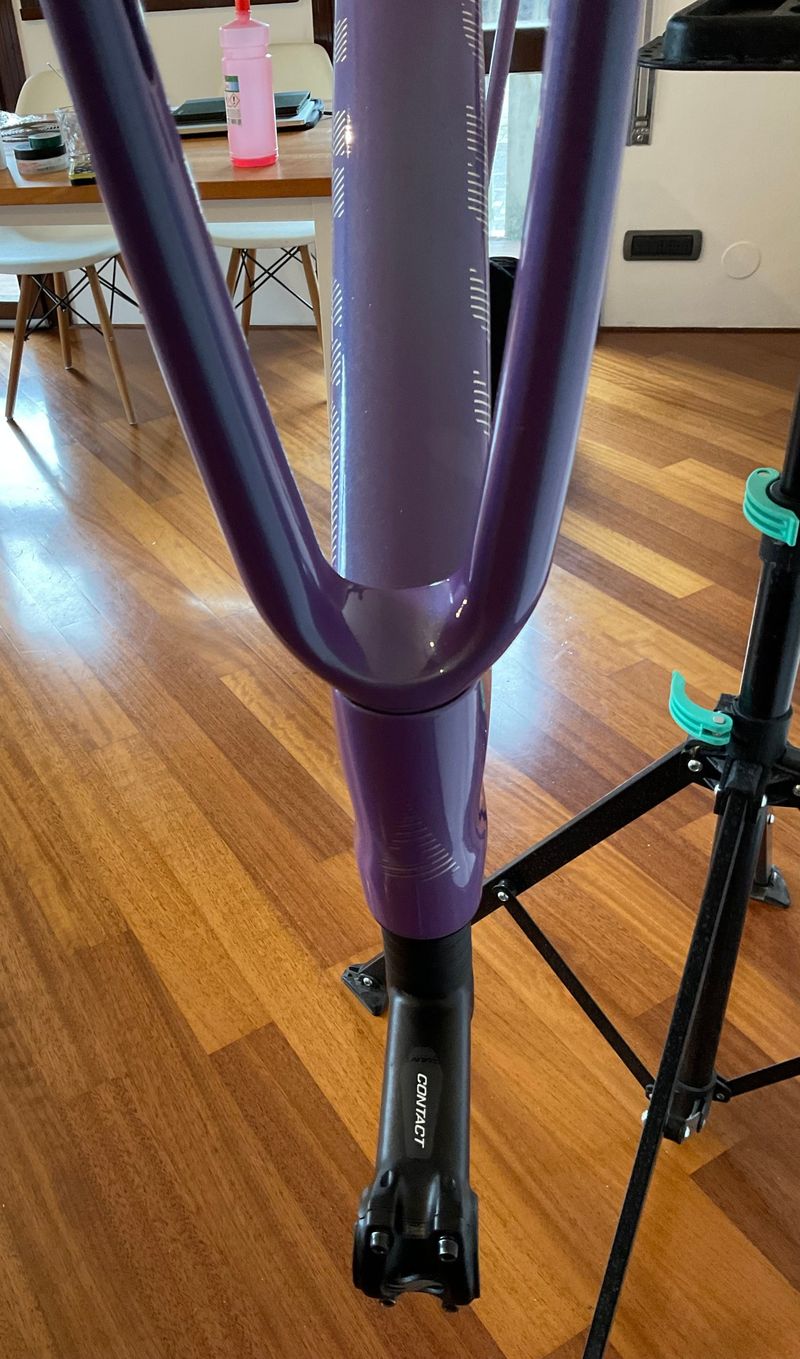 Gebrauchtes Giant Advanced SL 2024 Frameset 2024 Road & Gravel, Violett — Bild 10 von 38