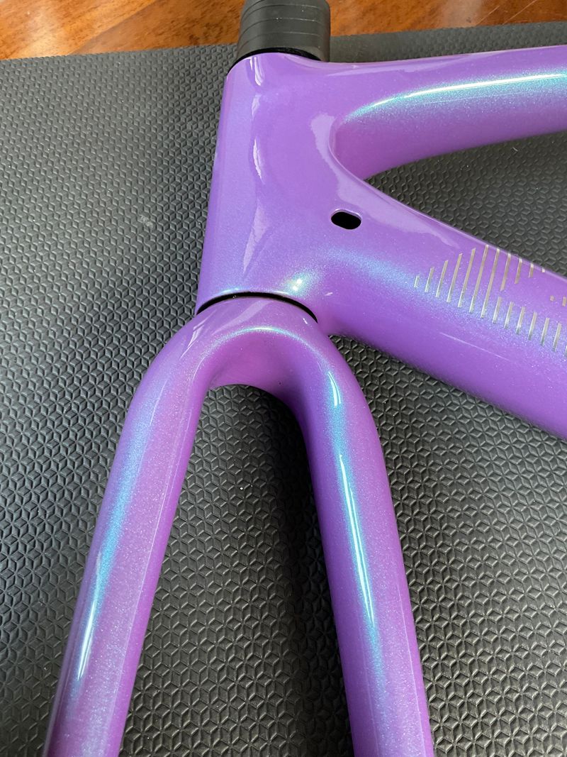 Gebrauchtes Giant Advanced SL 2024 Frameset 2024 Road & Gravel, Violett — Bild 30 von 38