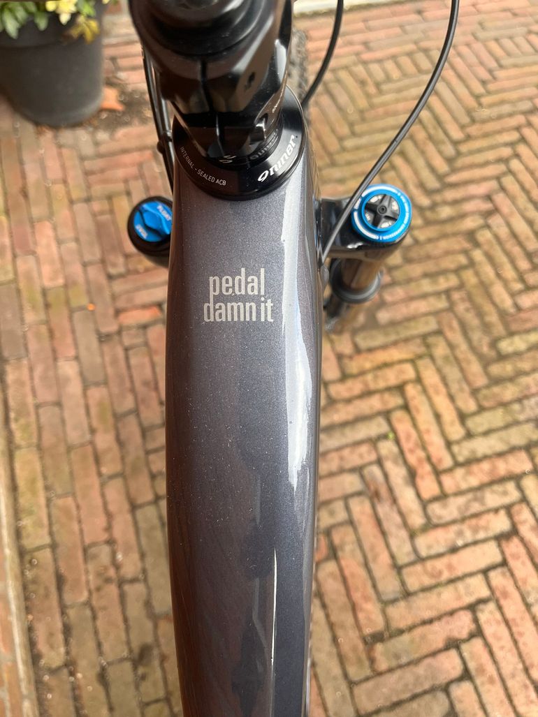 Used Niner JET 9 RDO 3-STAR SRAM GX EAGLE 2024 2024 Mountainbike, Gris claro — image 19 of 46