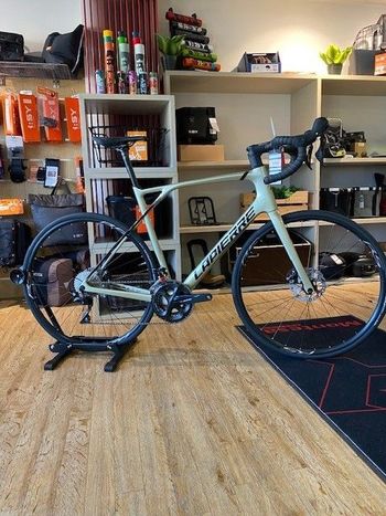 Lapierre, Pulsium 5.0 2022