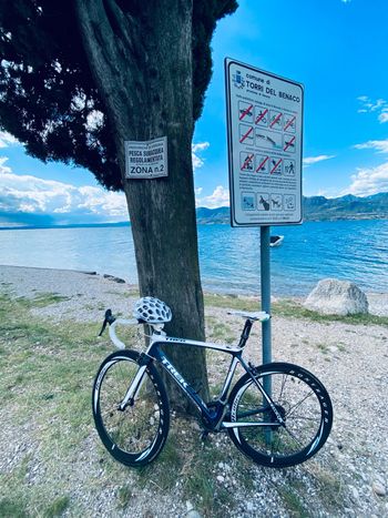 Used Trek Madone 6.9 Pro 2009 2009 Road & Gravel, Weiß — image 2 of 7
