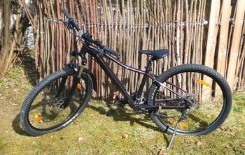 Scott, Contessa Shimano Altus