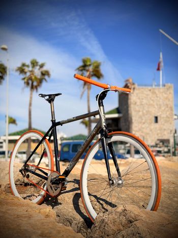 Vitus, Vitus Custom Single Speed / Fixed Gear