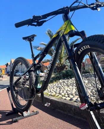 Used Cannondale Cannondale Scalpel Carbon 3 2024 Mountainbike — image 2 of 4