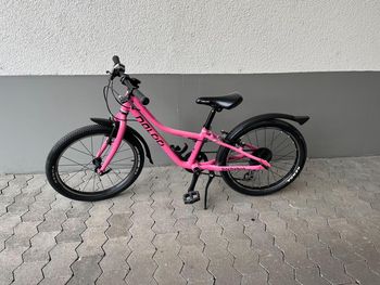 Naloo, Chameleon Mk2 20" 2024