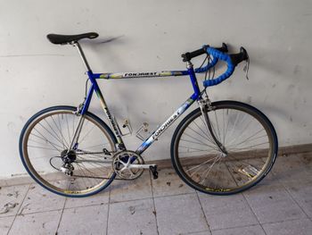 Fondriest, X Status 1997