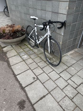 Used Felt Z85 2015 2015 Road & Gravel, White — image 7 of 7