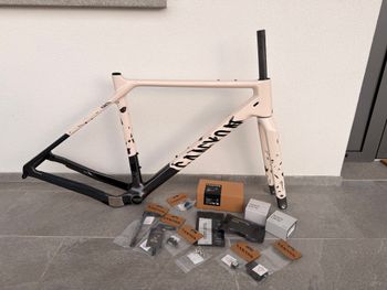 Used Canyon Grizl CF SLX 8 Di2 GRC 2025 Frameset 2025 Road & Gravel, White — image 1 of 17