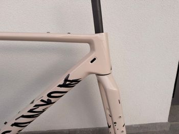 Used Canyon Grizl CF SLX 8 Di2 GRC 2025 Frameset 2025 Road & Gravel, White — image 6 of 17