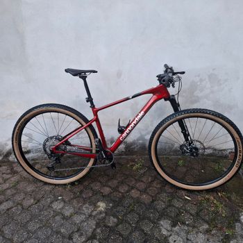 Cannondale, Scalpel HT Carbon 2 2024