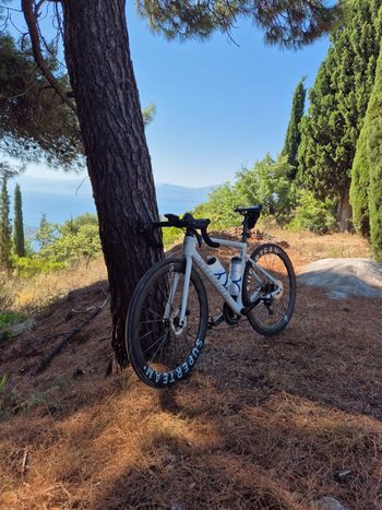 Used Specialized Tarmac SL7 Sport - Shimano 105 2024 Frameset 2024 Road & Gravel, Bianco — image 11 of 12