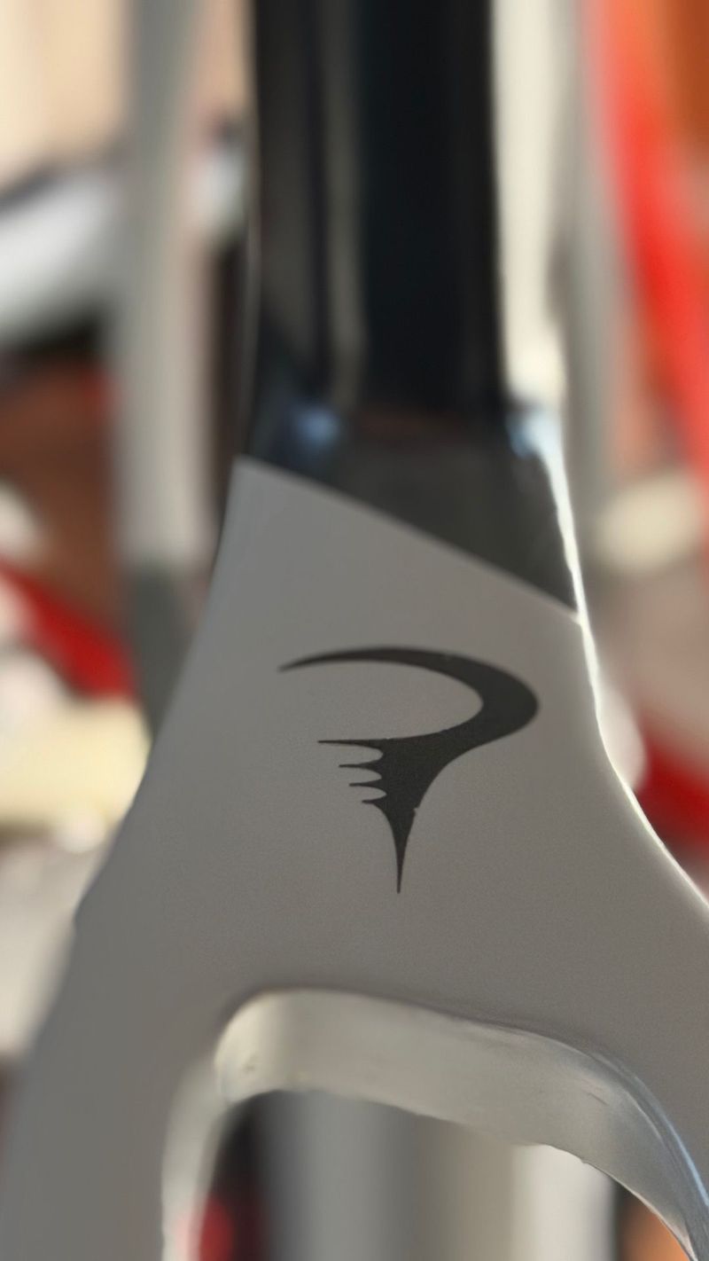 Used Pinarello Dogma F12 Disk Frameset 2021 Frameset 2021 Road & Gravel, Light Gray — image 12 of 18