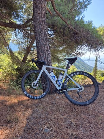 Used Specialized Tarmac SL7 Sport - Shimano 105 2024 2024 Road & Gravel — image 2 of 16