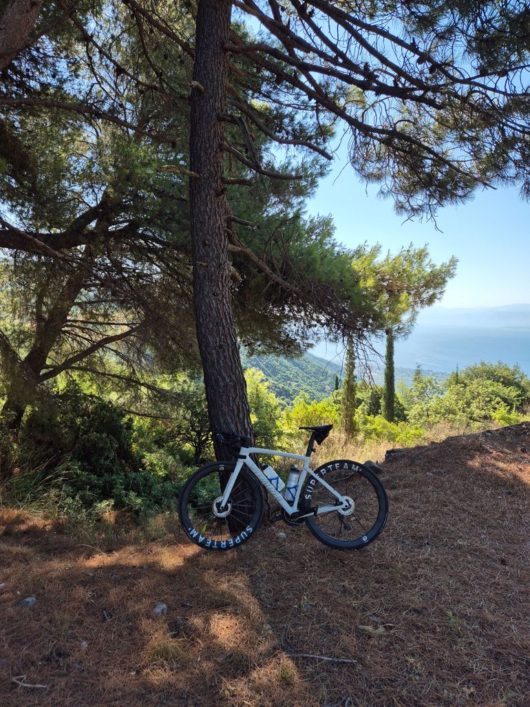Used Specialized Tarmac SL7 Sport - Shimano 105 2024 2024 Road & Gravel — image 6 of 16