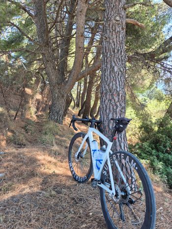 Used Specialized Tarmac SL7 Sport - Shimano 105 2024 2024 Road & Gravel — image 5 of 16
