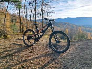 Canyon, Torque AL 6.0 2019