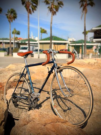 Motobecane, Motobecane Custom Simplex Vintage